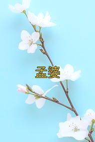 孟婆