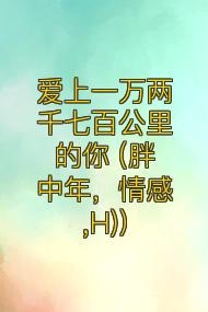 爱上一万两千七百公里的你 (胖中年，情感,H)）
