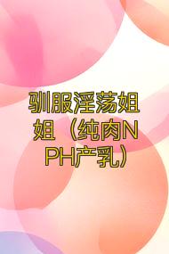 驯服淫荡姐姐(纯肉NPH产乳)