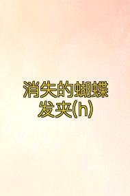 消失的蝴蝶发夹(h)